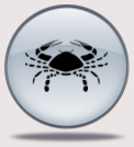 Yearly Horoscope 2011 for Pisces Moon Sign