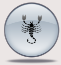 Yearly Horoscope 2011 for Pisces Moon Sign
