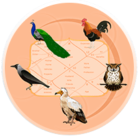 Panchpakshi predictions