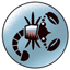Scorpio Sunsign