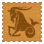 Capricorn Woman