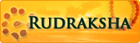 rudraksha